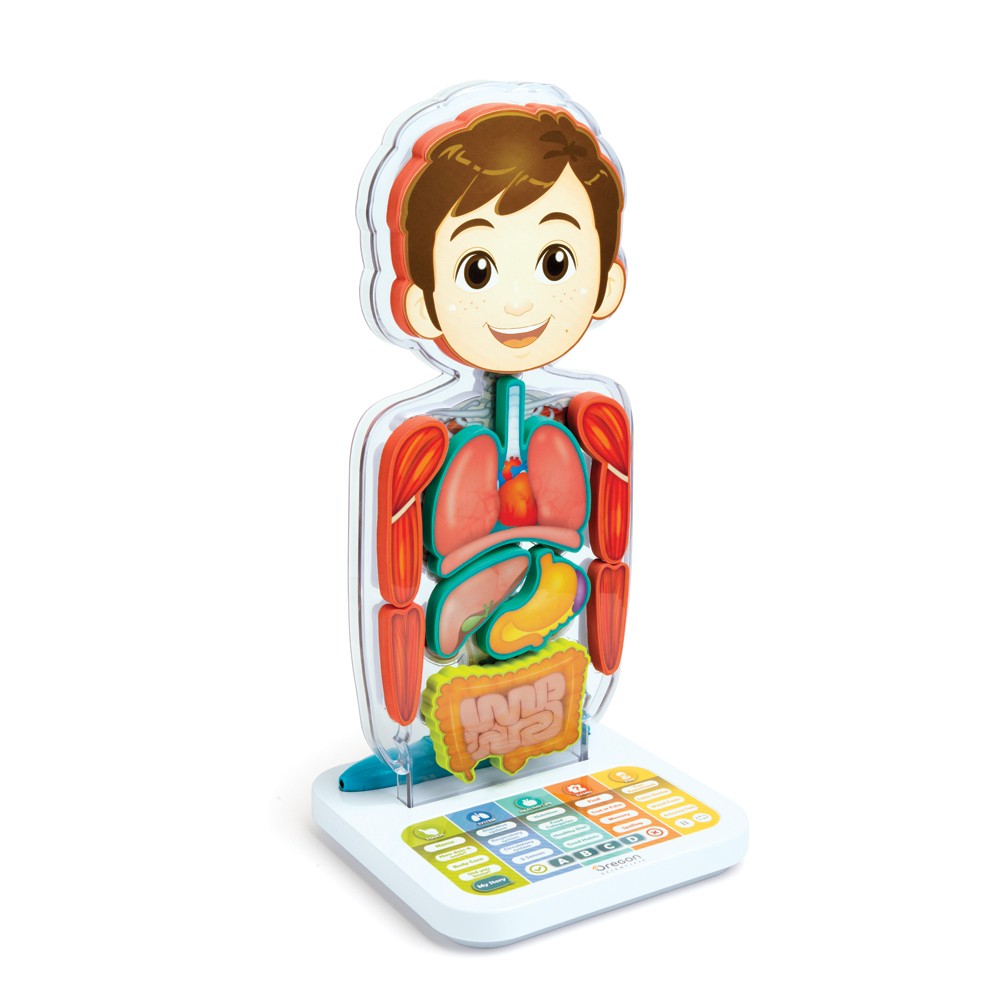 Smart Anatomy - corpo umano interattivo e parlante