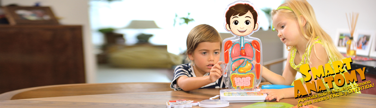 Smart Anatomy