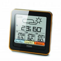 Multi-Zone Weather Station with mold alert